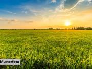 Landwirtschaftsfläche