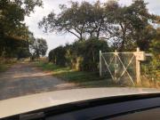 Landwirtschaftsfläche zur Pacht