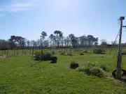 Langon 33210 Achat / Vente maison 2 pièces t2 jardin