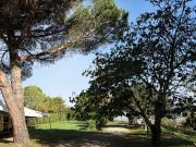 Langon Vente Terrain 33