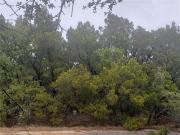 Lansing Cv, Lago Vista, Plot For Sale
