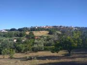LANUVIO
