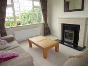 Larburnum Drive, Rathnapish, Carlow