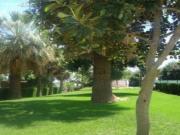 LARGA TEMPORADA Se alquila bonito estudio con vistas al...