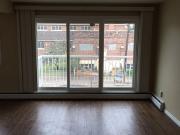 Large 1 Bdrm In Old Strathcona! Renovated, Exc. Location!