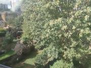 Large 1 bed furnished Sublet in Sydenham