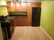 Large 1 Bedroom Basement Suite