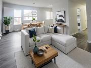 Large 1 Bedroom Suite!