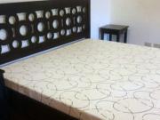 Large 4 Bedroom House and Lot for Rent in San Lorenzo...