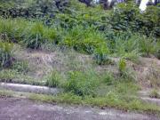 Large Commercial Lot for Sale in Fairview, Quezon City
