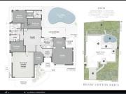 Large for best + near griffin university goldcoast