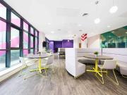 Large Highest Double Studio