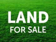Large Lot,Rare Opportunity for Custom Build Home !