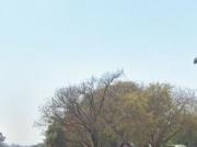 large property perfect for business.