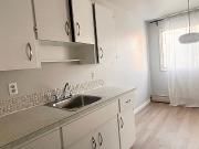 Large Renovated One Bedroom Unit Near Uofa, Furnish Optional