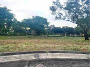 1,220 Sqm Residential Lot For Sale In Manila Southwoods...