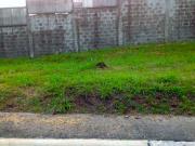 Large Residential Vacant Lot for Sale in Ayala Heights,...