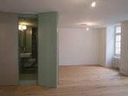 LARGE STUDIO of 52 m2