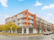 Large sun drenched apartment!