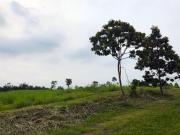 Large Vacant Lot for Sale in Bonifacio Global City,...