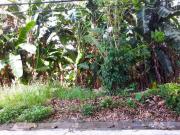 Large Vacant Lot for Sale in Novaliches, Quezon City Large Vacant Lot for Sale in Novaliches, Quezon City