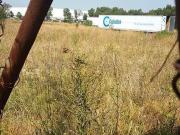 Las Animas Terreno en Venta