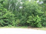 Las Brisas Ln, Albany, Plot For Sale