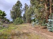 Las Cabras Terreno de 1210m2 exclusivo condominio La...