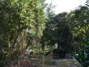 LAS CAÑADAS TERRENO SEMIPLANO EN ZONA TRANQUILA LAS CAÑADAS TERRENO SEMIPLANO EN ZONA TRANQUILA