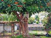 Las Fincas en Jiutepec Morelos