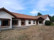 LAS ROSAS DE ANTIVERO, SAN FERNANDO