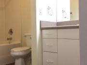 LaSalle Apartments 1 Bedroom Apartment for Rent at 513...