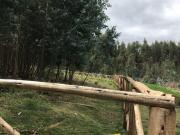 Lasso, Terreno en Venta, 5084m2, Cos PB 15%, 2 Pisos