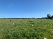 LATORRE PROP VENDE 5 HEC CON FRENTE SOBRE AV. POLONIA Y...