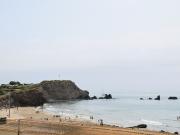 L'AVANT PORT, DEUX PIECES CABINE DE 46 M2 EN 1ère...