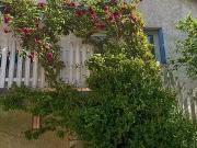 Lavaur 81500 Achat / Vente maison 6 pièces t6