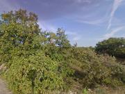 LAVILLEDIEU, terrain constructible de 490 m²