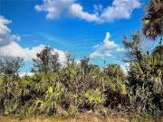 Lawler St, Port Charlotte, Plot For Sale