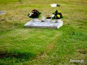 Lawn Lots Memorial Park