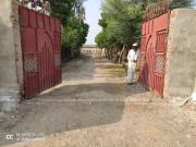 Layer chicken farm ready to use for rent Hyderabad ID 58076