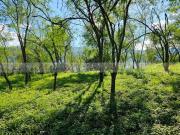 Lazarillo de Arriba Allende