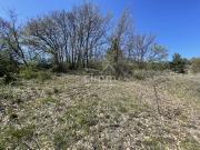 Lazer Vente Terrain 05