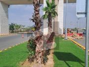 LDA CITY Lahore Files Available For Sale Ready To Transfer