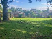 LDPDC 228 Lote 612541023 9