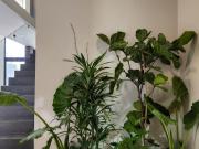 LDT CASA EN VENTA, NUEVA CON ROOF GARDEN Y SOTANO, EN...