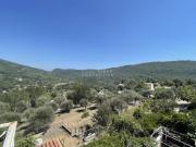 LE BAR/LOUP Villa + Studio sur 5 000€m²