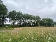Le Cellier 44850 Achat / Vente terrain