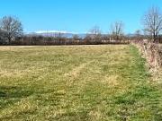 Le Champ Saint Père 85540 Programme neuf terrain neuf à...