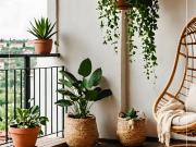 LE CLOS DES LAVANDES