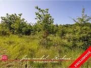 Le Controis en Sologne 41700 Achat / Vente terrain